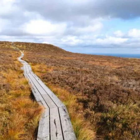 The Gate House, Kilmullen